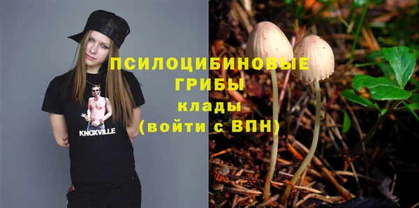 2c-b Абаза