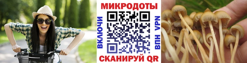 Галлюциногенные грибы GOLDEN TEACHER Ишимбай