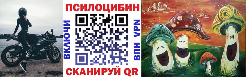 darknet состав  omg   Ишимбай  Галлюциногенные грибы GOLDEN TEACHER 