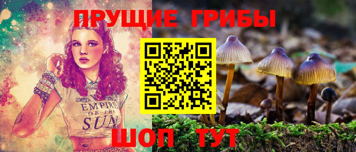 Псилоцибиновые грибы Psilocybine cubensis  Вход с VPN  Ишимбай 